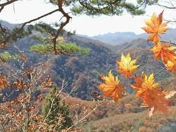 南宁东芝电视机生产公司